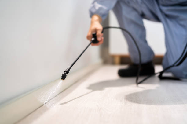 Licensed Pest Control service in North Terre Haute, IN - Nex Pest Control
