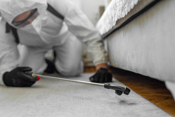 Professional Pest Control technician working in North Terre Haute, IN