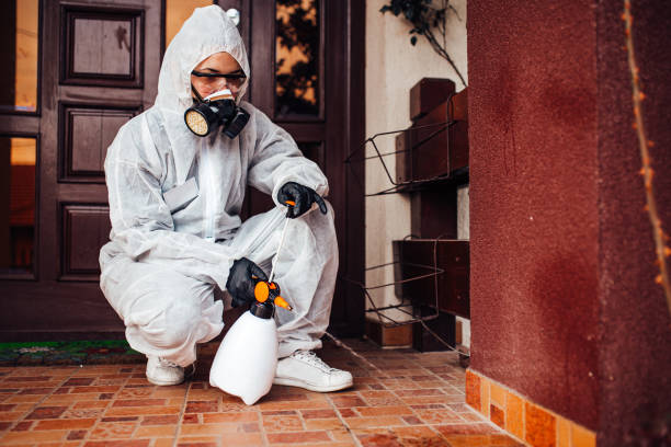 Reliable Bed Bug Control contractor in North Terre Haute, IN by Nex Pest Control