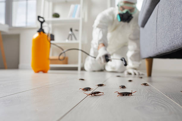 Trusted Emergency Pest Control service in North Terre Haute, IN - Nex Pest Control