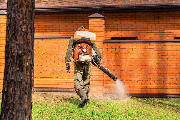 Trusted Rodent Control service in North Terre Haute, IN - Nex Pest Control